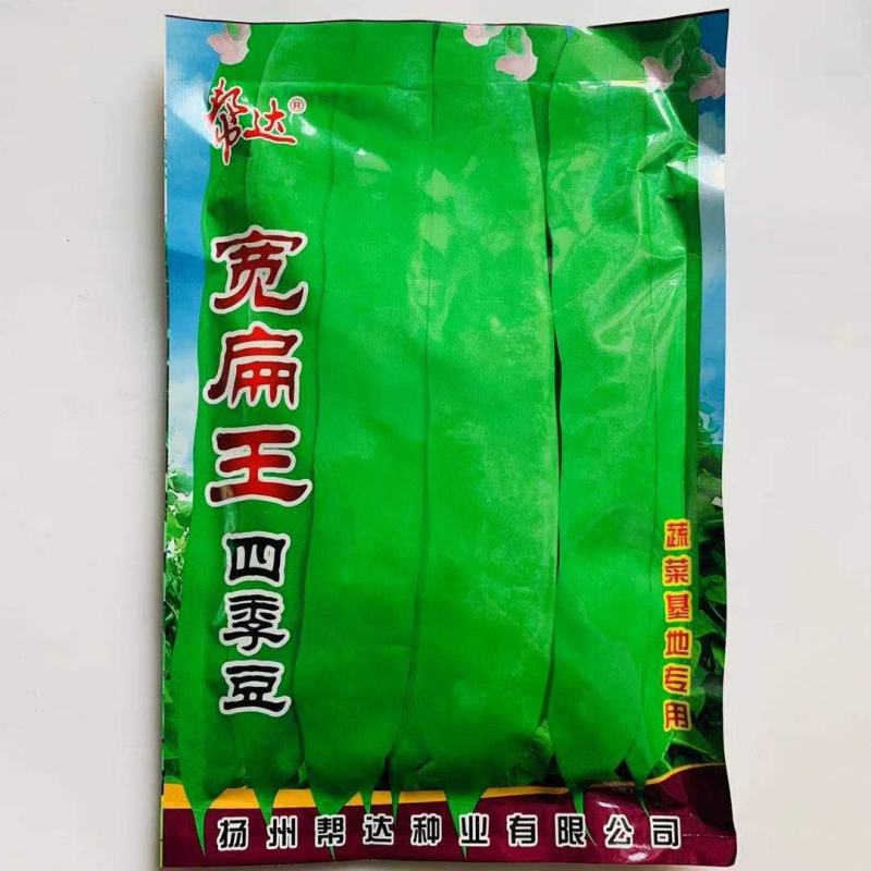 绿龙3号宽扁架豆种子绿色四季豆种子荚长肉厚无筋糯爽架豆