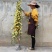 红白黄木香50/80公分1/2米价格爬藤植物盆栽欧月花