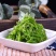 裙带菜《高质量海藻沙拉》