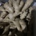 精品老姜，个头大，质量优，有需要的老板随时联系，量大从优。