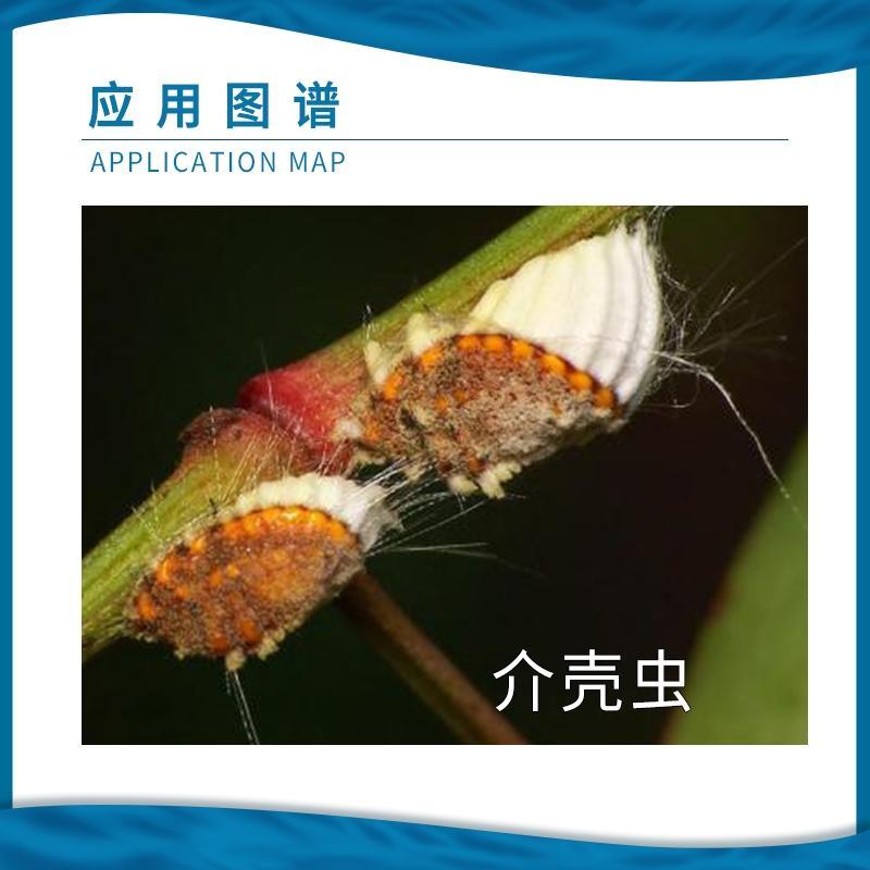 蚧壳虫介壳虫用药柑橘果树杀扑介18%吡虫噻嗪酮杀蚧壳虫
