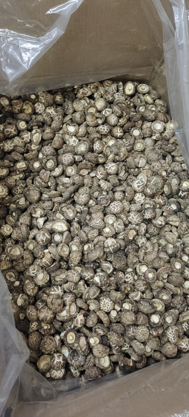 茶花香菇茶花花菇精选茶花菇产地直销