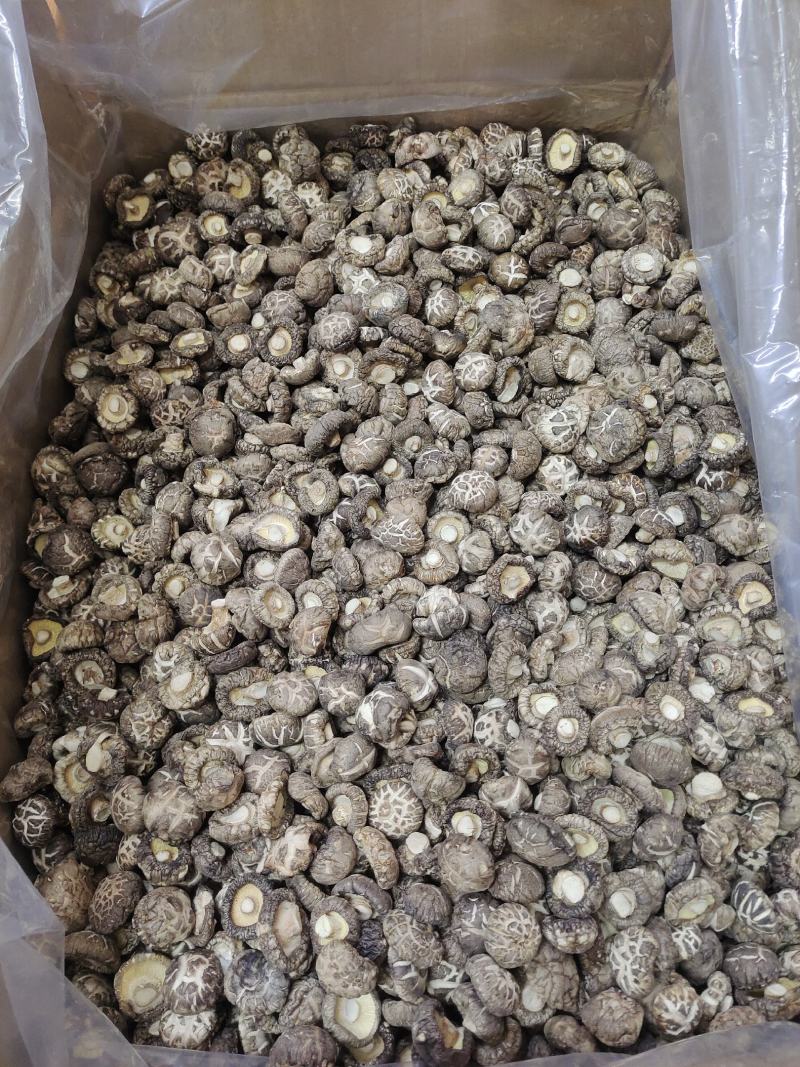 茶花香菇茶花花菇精选茶花菇产地直销