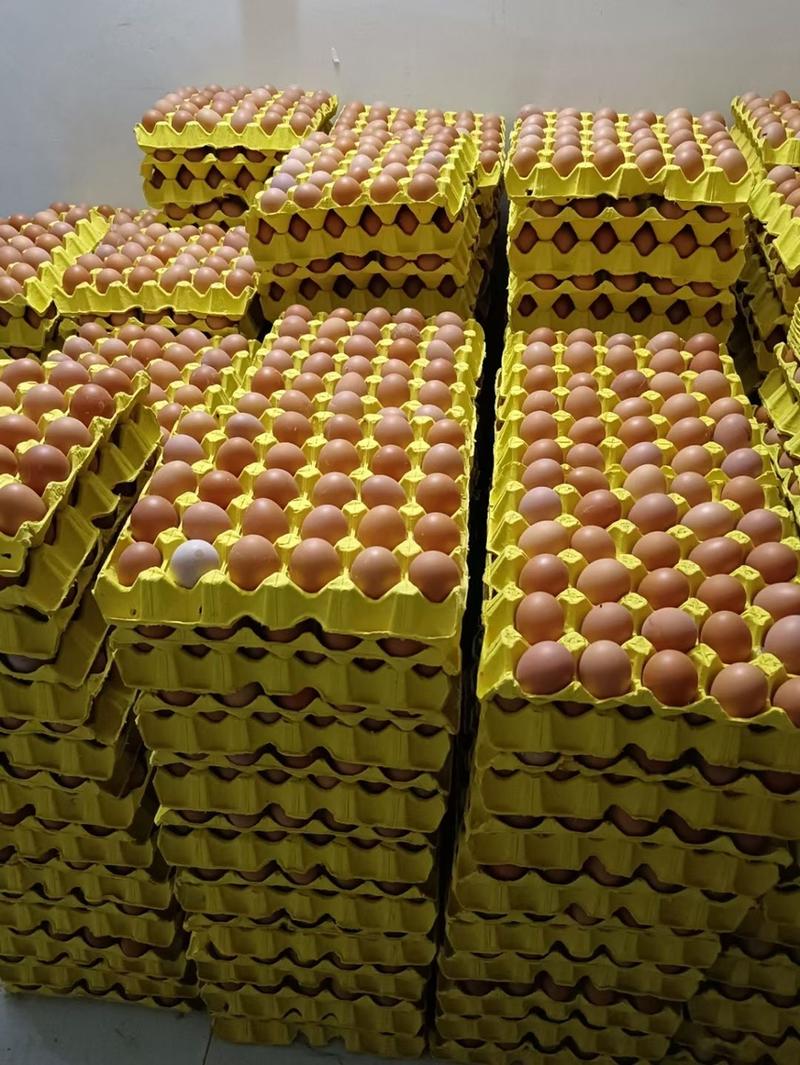 红壳鸡蛋大量上市了，价格美丽，一手货源，量大从优