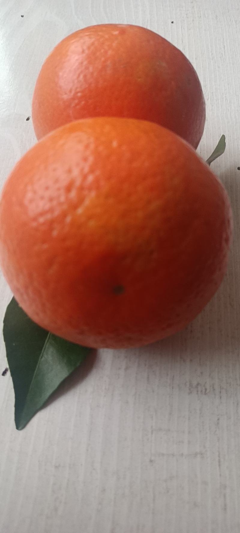 沃柑，口感甜，果面巴适，味道甜，水份充足