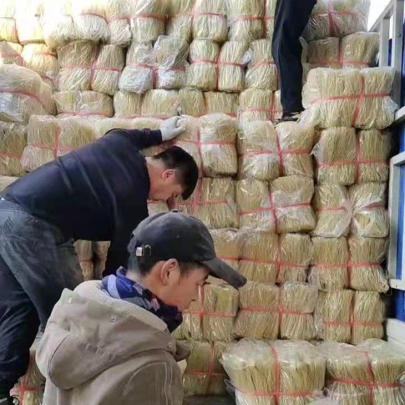 粉条产地批发市场在哪里
