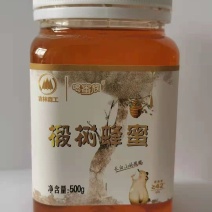 【假一赔十】不掺假长白山椴树蜂蜜瓶装一斤装质量保证