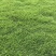 草皮