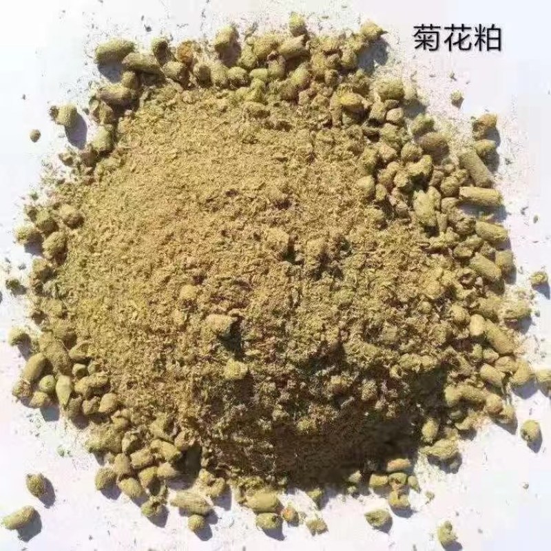 菊花粕