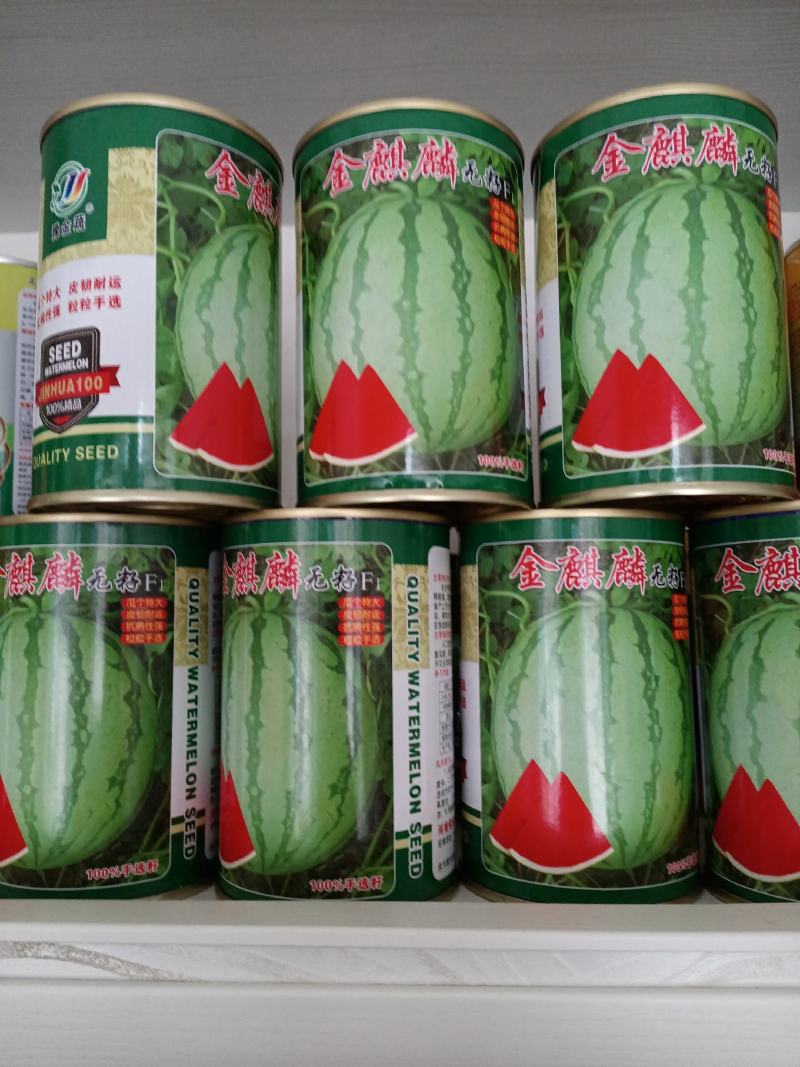 金麒麟无籽西瓜种子大红瓤皮韧抗裂耐运个大品质好