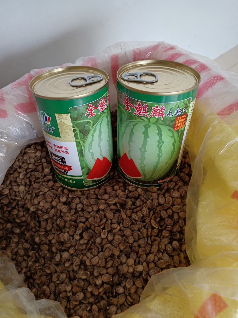 金麒麟无籽西瓜种子大红瓤皮韧抗裂耐运个大品质好