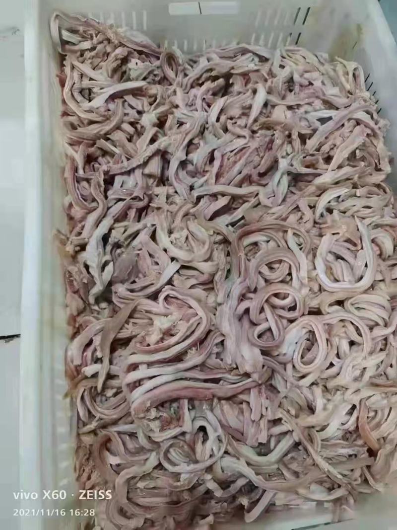 猪肚丝，肚丝，红肠切丝，猪肚条，猪肚