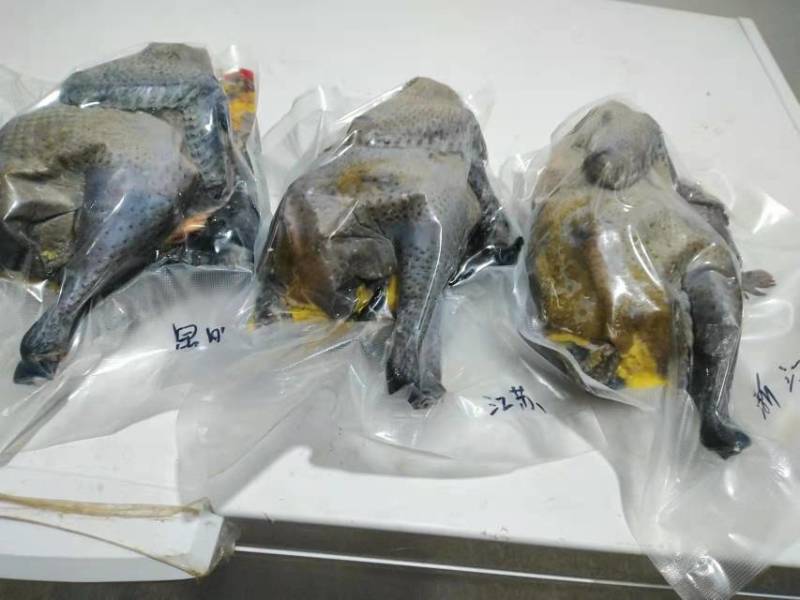 云南深山老林放山散养土鸡老品种纯土鸡乌骨鸡白肉鸡