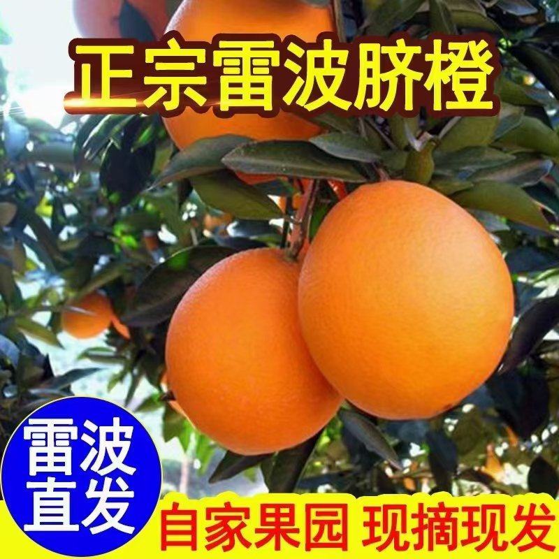 【推荐】雷波脐橙，香甜化渣，可零售可批发