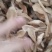 自种鸡腿菇干货，质优价廉