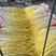 山东头茬蒜黄，新鲜现割，产地货源，50到60厘米，可代发