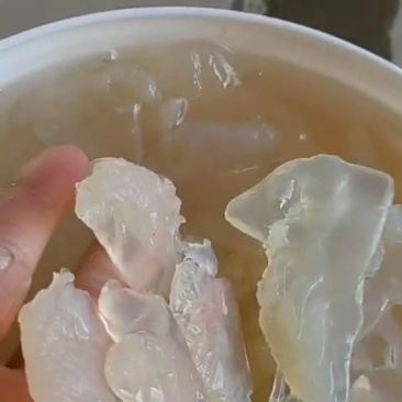 海蜇头