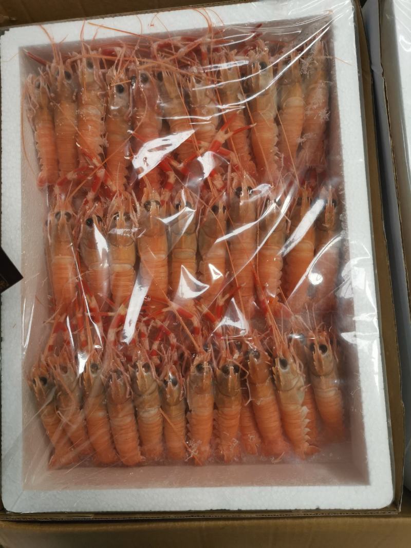 深海精品鳌虾，16/20每盒一公斤，26/30每盒两公斤