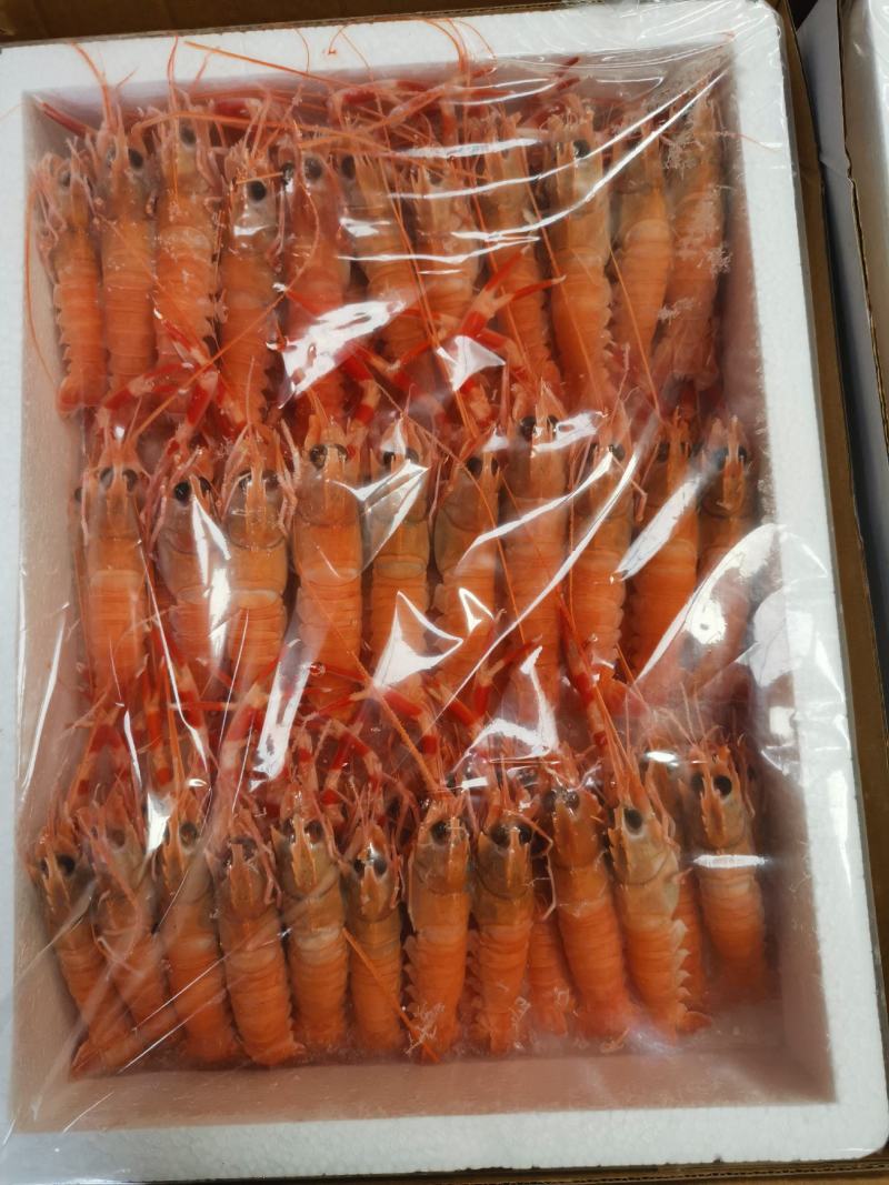 深海精品鳌虾，16/20每盒一公斤，26/30每盒两公斤