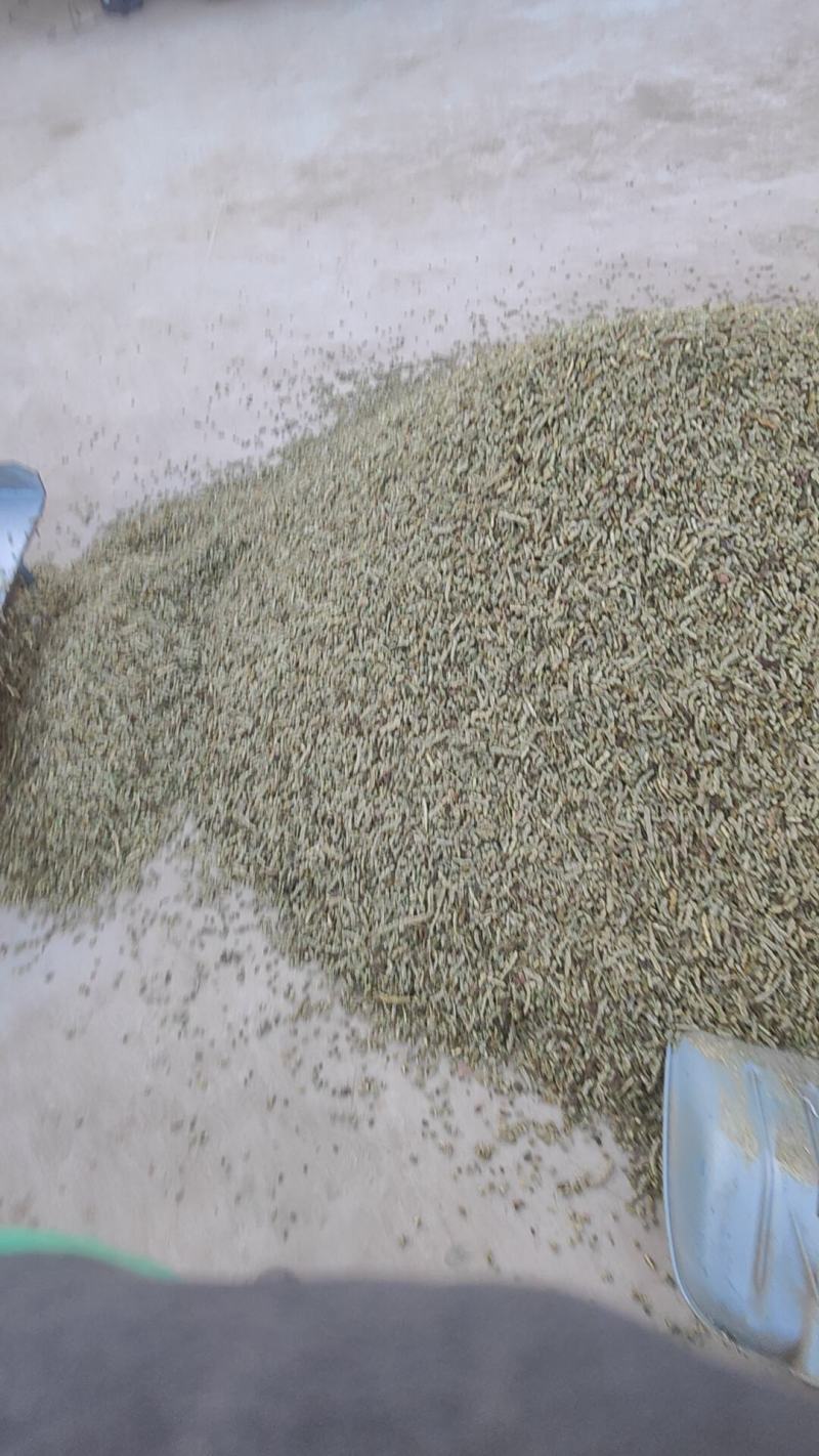 新货槐角，产地直销，批发零售，各种规格均有，质量有保证。