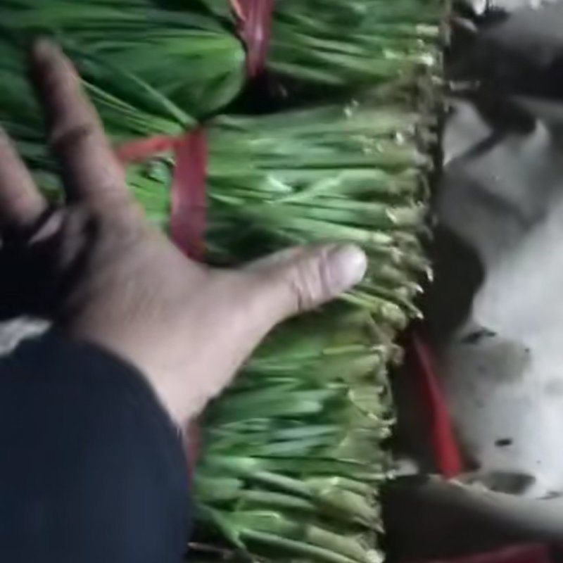 好韭菜