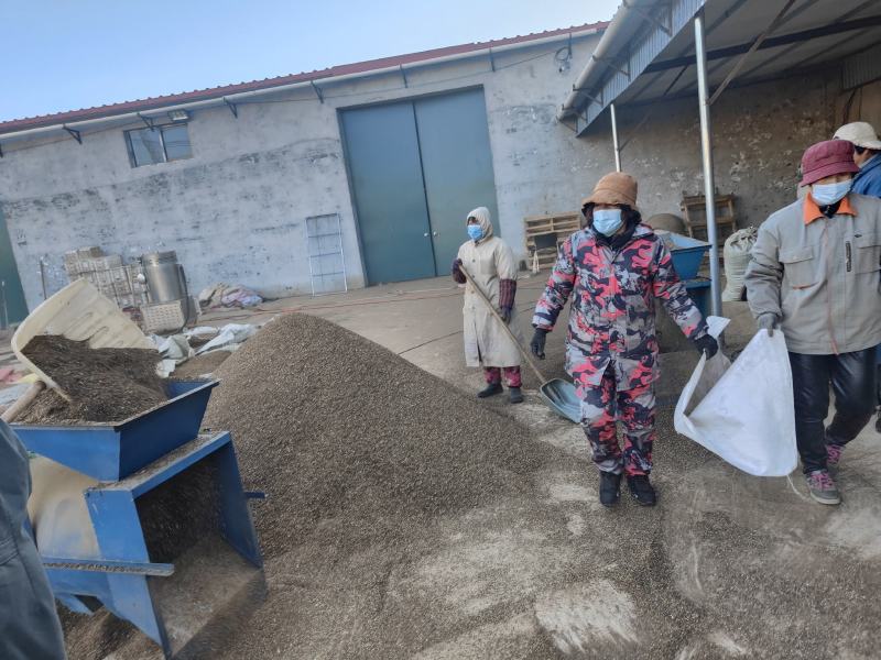 正品柴胡片，产地直销各种规格都有质量好片形好全检合格