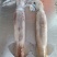 特价飞机鱿，新鲜鱿鱼，合适大排档，市场，酒店，社区团购