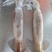 特价飞机鱿，新鲜鱿鱼，合适大排档，市场，酒店，社区团购