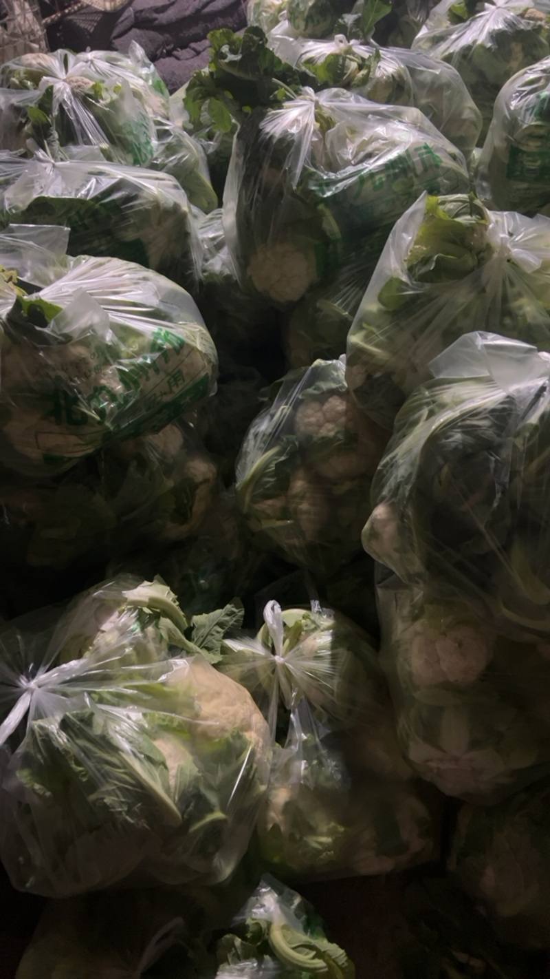 白面紧花，白实菜花产地全国批发价格、保质保量、欢迎来购
