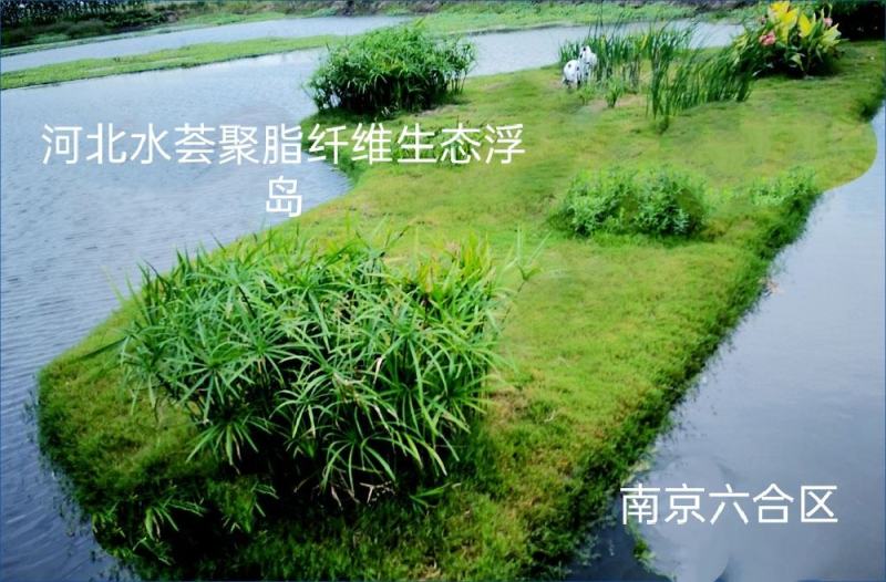 水荟水生生态浮岛模板种植，包施工种植，保成活，提供技术指导。