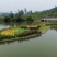 水荟水生生态浮岛模板种植，包施工种植，保成活，提供技术指导。