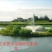 水荟水生生态浮岛模板种植，包施工种植，保成活，提供技术指导。