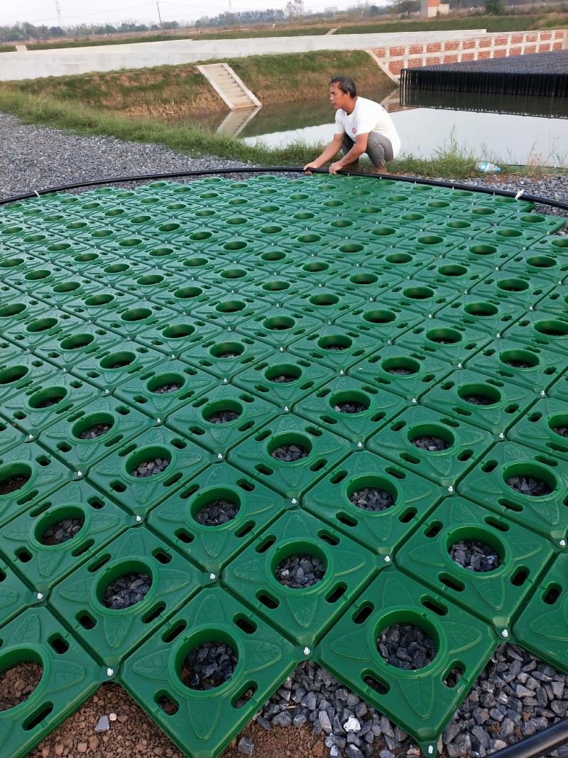 水荟水生生态浮岛模板种植，包施工种植，保成活，提供技术指导。