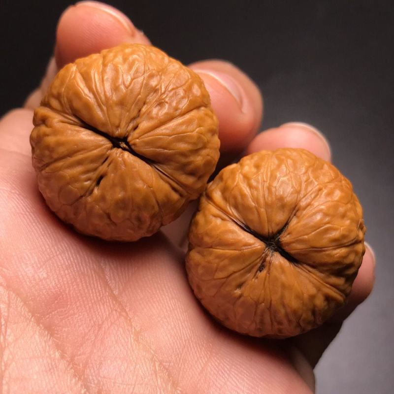 云南铁核桃野生特级云铁文玩核桃精品配对打底元宝金蟾蛤蟆头