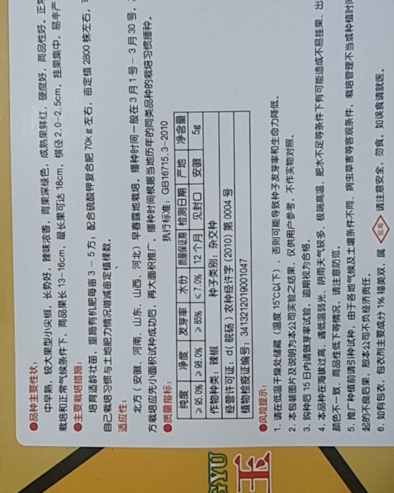 【精选苗】辣椒苗杭椒苗美人椒苗，辣味香浓青果深绿色