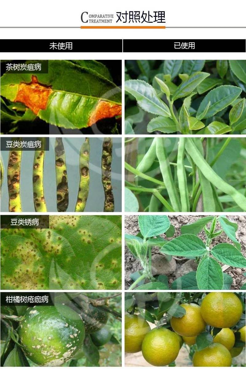 上海悦联百菌清粉剂果树蔬菜霜霉病白粉病疫病叶斑病杀菌剂