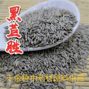 中药材，中药材黑苣胜，苣胜子质量保证欢迎咨询选购！