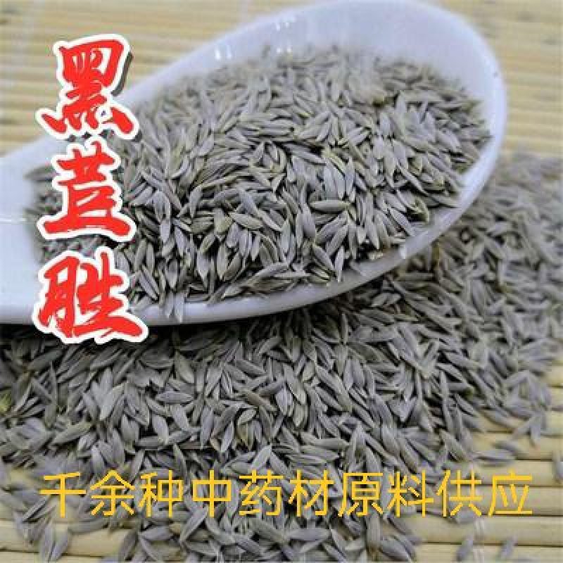 中药材，中药材黑苣胜，苣胜子质量保证欢迎咨询选购！