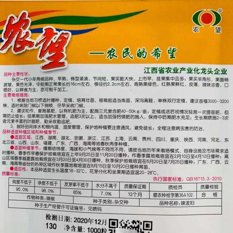 辣泼妇小羊角椒种子辣味浓香皮薄肉厚口感好上市早辣椒种