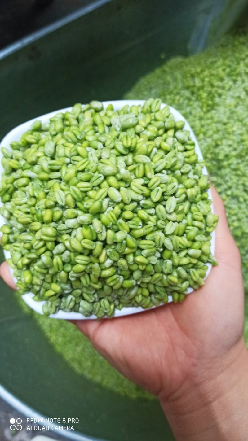 新鲜青麦仁青麦粒