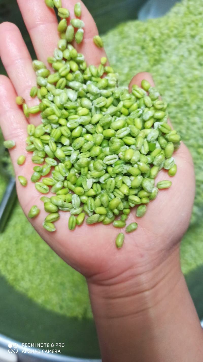 新鲜青麦仁青麦粒