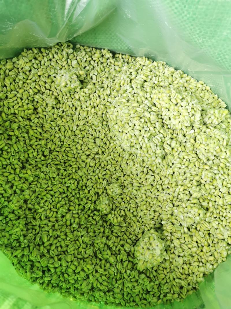 新鲜青麦仁青麦粒