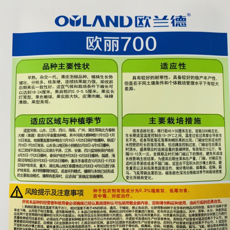 大果欧丽700薄皮泡椒种子辣椒种子麻辣味皮薄翠绿色辣椒