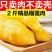 金枕榴莲肉纯肉无壳果肉特价批发