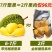 金枕榴莲肉纯肉无壳果肉特价批发