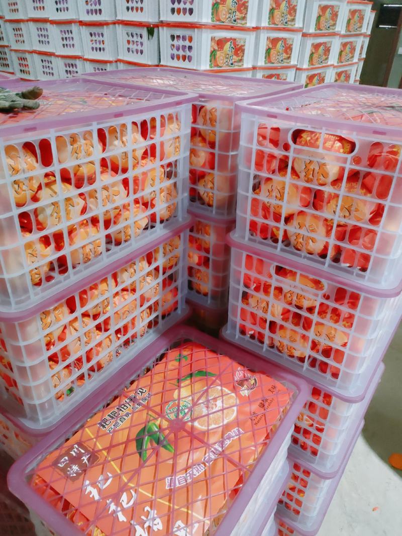 蒲江春见柑橘耙耙柑，商品果，高次果，平台货，全国配货
