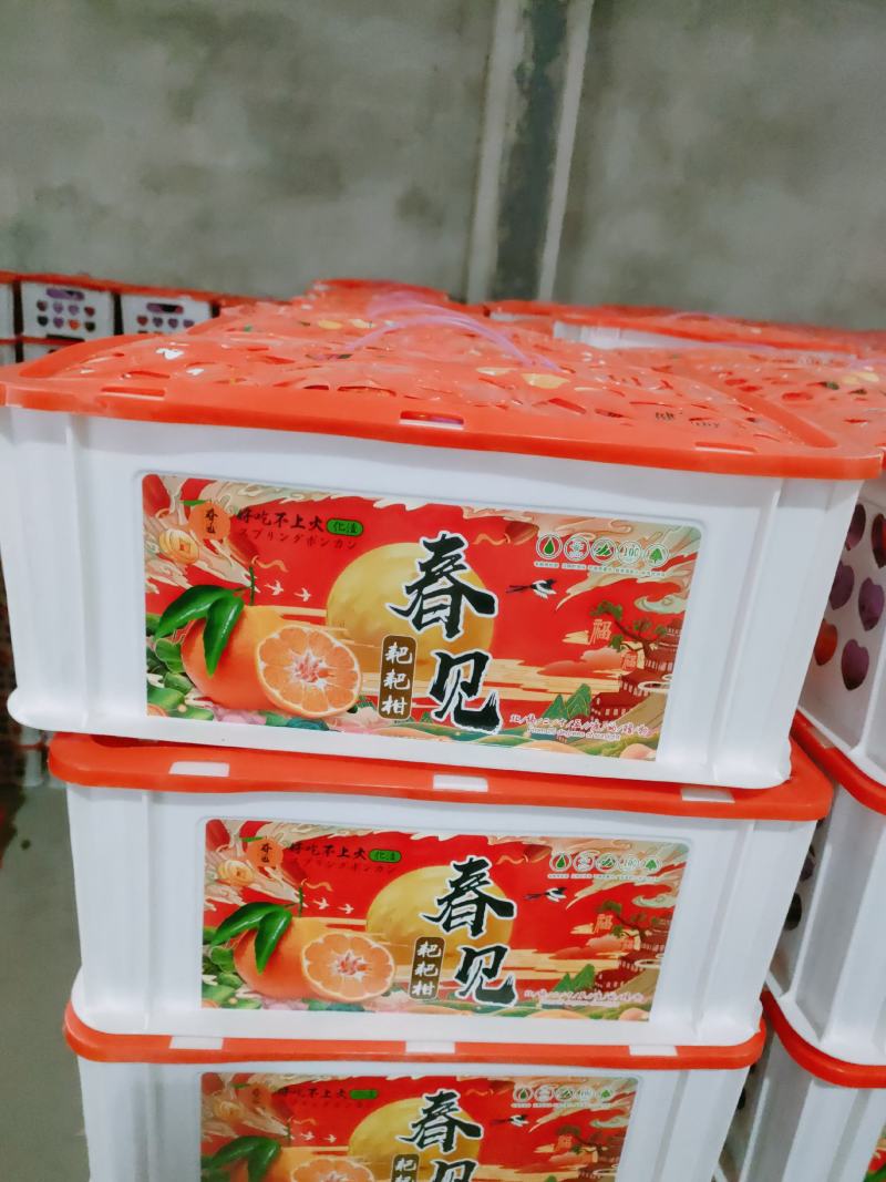 蒲江春见柑橘耙耙柑，商品果，高次果，平台货，全国配货