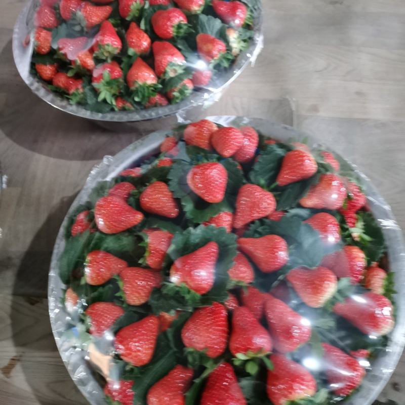 红颜草莓