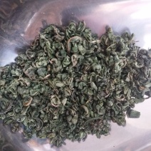 甜茶叶刺儿茶天然香甜的味茶叶保健茶
