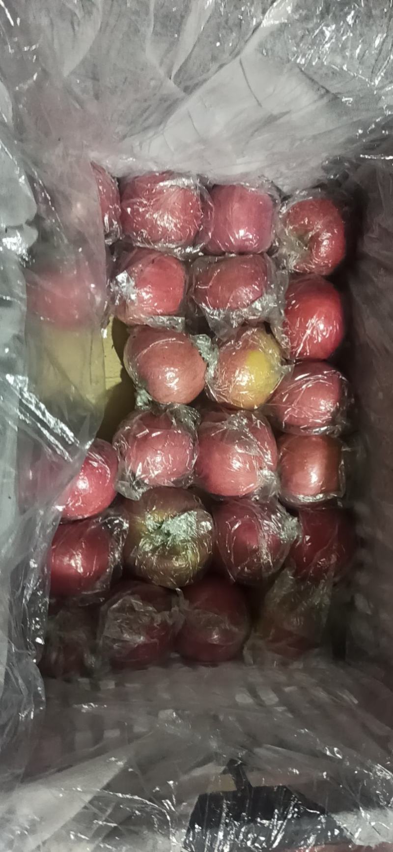 红富士苹果，纸加膜的，